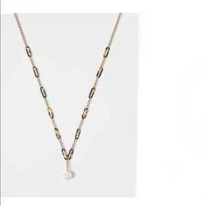 Ann Taylor tortoiseshell print link pearlized pendant necklace